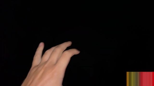 ХАЗЯЕВА ПРИГОТОВИЛИ ШАШАЛЫК НО ЧТО ТО ПОШЛОНЕ ТАК!! | ДАНИЛЛА ГОРИЛЛА КОРЕШ ДАНОН ЭКСАЙЛ