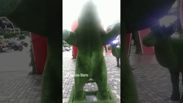 The Green Bear #shorts