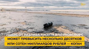 Ущерб от разлива мазута в Чёрном море может превысить несколько десятков или сотен миллиардов рублей