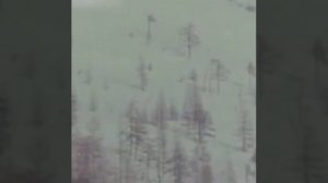 Дальнобойщикам посвящается. Владимир Высоцкий. "МАЗ"