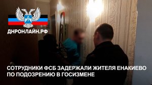 Сотрудники ФСБ задержали жителя Енакиево по подозрению в госизмене