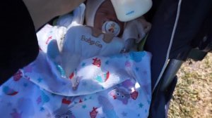 Прогулка с Хлоей /Прогулка с реборном /Весна )))).....