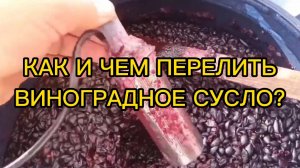 КАК И ЧЕМ ПЕРЕЛИТЬ ВИНОГРАДНОЕ СУСЛО?