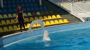 белуха вера