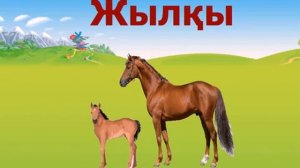 Үй жануарлары