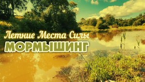 ЛЕТНИЕ МЕСТА, где ВСЕГДА ЛОВИЛАСЬ Рыбка! #мормышинг #стритфишинг #окунь #плотва #летняярыбалка