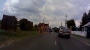 Щурово 2011.avi