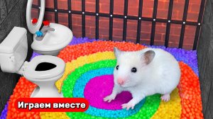 Помогаем Хомяку выбраться из секретной тюрьмы 🐹 Видео для детей