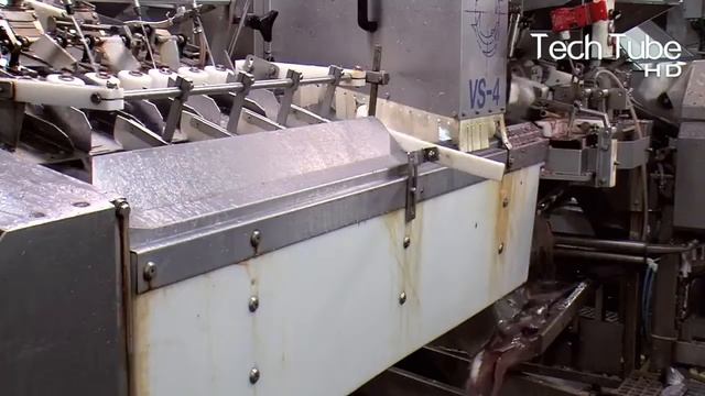 Amazing Modern Mackerel Fishing | Mackerel Processing Technology in Factory | Canned Fish Processin