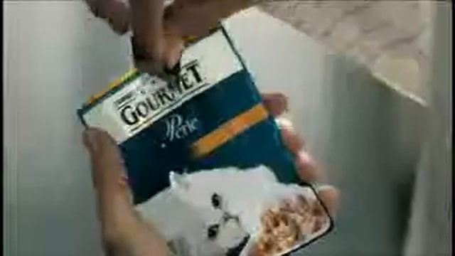Anuncio Spot Gourmet Perle para gatos 2014 смотреть онлайн