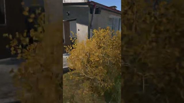 Разобрался с тремя - DayZ #dayz #дейз #shorts