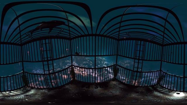 360° Horror Underwater Shark Attack Cage VR Video | Part: 21 | Virtual Reality Experience смотреть онлайн