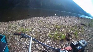 Рыбалка на Сурку_ Вершу_Корчагу_Морду, Был удивлен что поймал  ,,,Дедовский способ рыбалки Работает