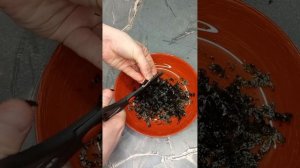 Корейские рисовые шарики 🥢 с крабовыми палочками 🦀