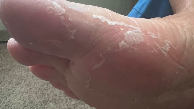 REVIEW:  CLEAN FEET EXFOLIATING FOOT MASK FROM DOLLAR TREE