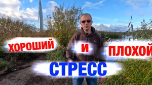 Дистресс/эустресс - всё, что нужно знать.