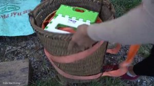 Harvesting Sapodilla and Selling It at the Market - Gardening, Looking after Beans | Trieu Mai Huong