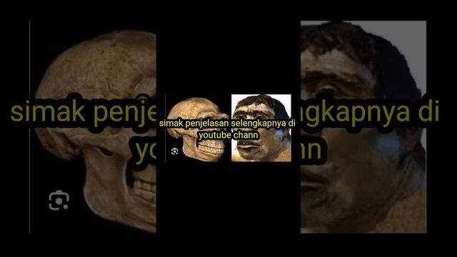 Jenis Manusia Purba Di Indonesia смотреть онлайн