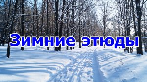 Олег Сапрыкин - "Зимние этюды".