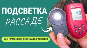 Идеальная Подсветка для Рассады: Ошибки, Которые Погубят Ваш Урожай