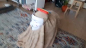 ДОМАШНИЙ ПОПИТОВЫЙ СНЮСОЕД