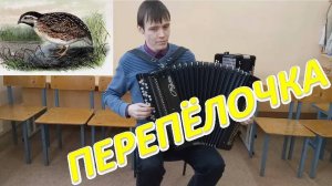 Перепёлочка! Импровизация на баяне!