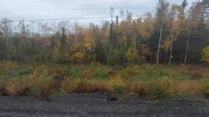 2 часть кемь