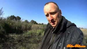 Ловля певчих птиц тайником 6 Часть - ЧИЖИ(Carduelis spinus)