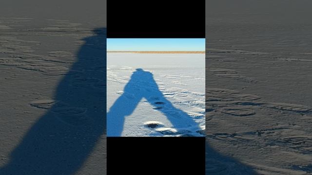 болото
