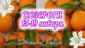 КОЗЕРОГИ. Неделя 13 - 19 января.