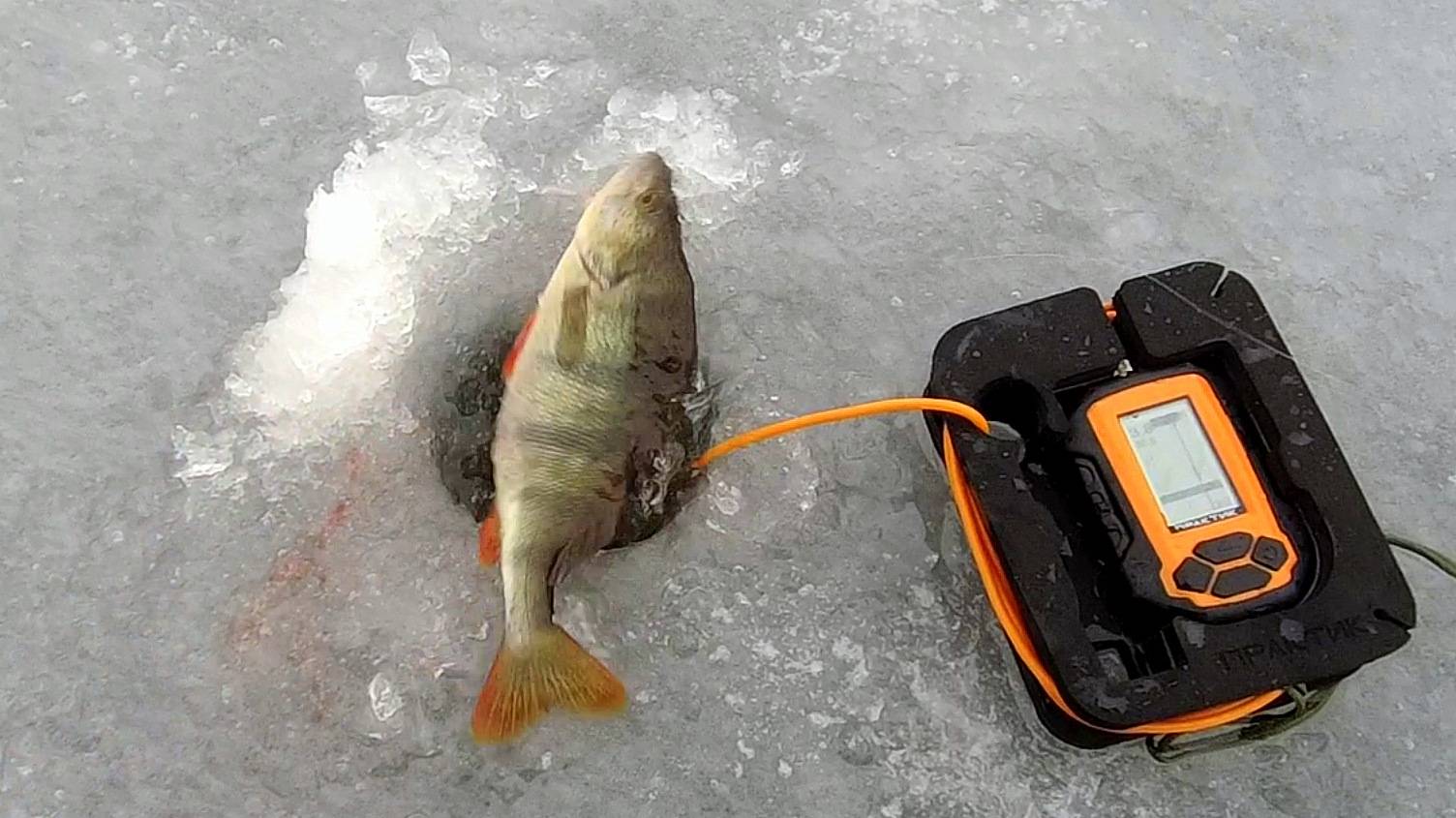 О рыбалке на Химкинском водохранилище. 08.01.2025. смотреть онлайн