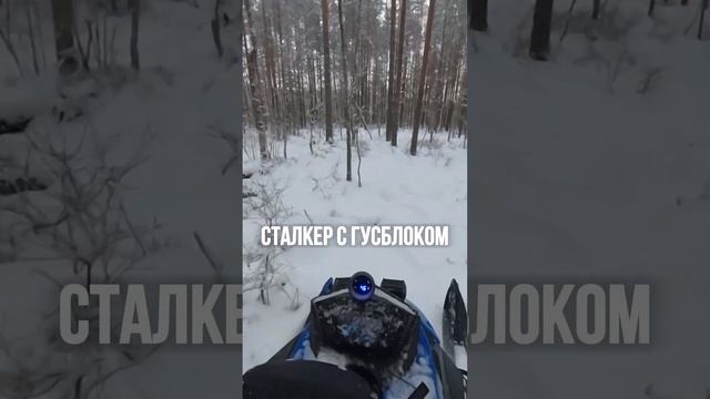 Тяжелый ТАНК против Легкого Эндуро. На Каком Снегоходе Ты Проедешь ВЕЗДЕ?