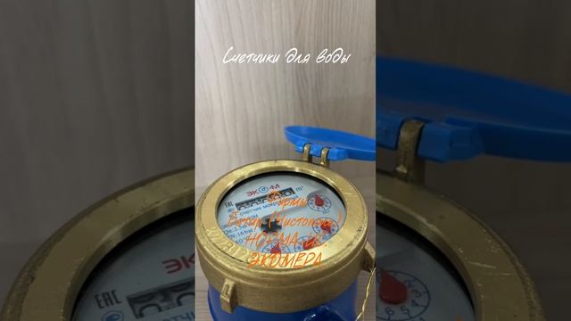 Водяной счетчик