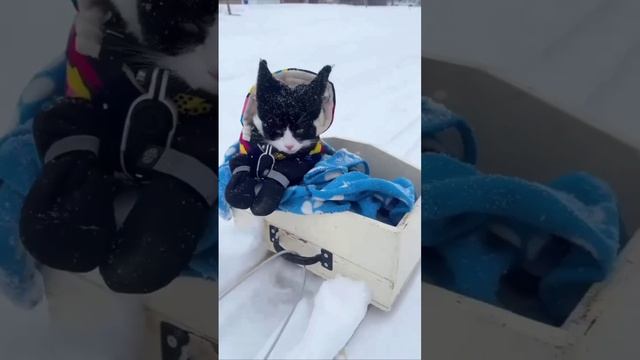 Зимние покатухи смотреть онлайн