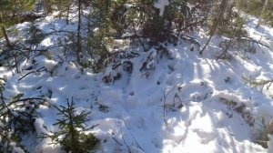 Таежные Будни Сибири ,,,№3 *Готовим Таёжный Борщ*Собираем Рюкзак *Идем в Верхнюю Избу*