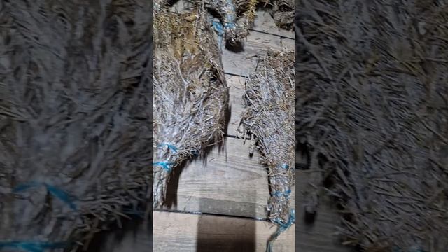 Банька. Часть 5.