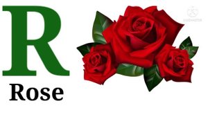 A to Z alphabets- A for Apple 🍎 to Z for Zebra 🦓