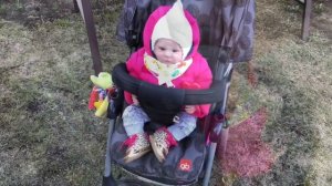 Влог прогулка с Мэлади