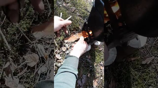Вдвоём в диком лесу/ищем место под землянку/