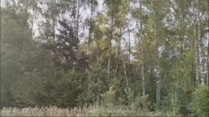 Аким Апачев , Чичерина - Когда закончится война. Премьера клипа!