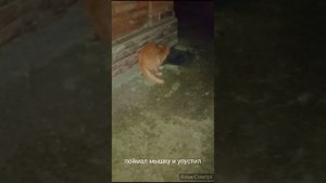 Ируся //репетиции//салюты//концерт//что готовили//сыновья//