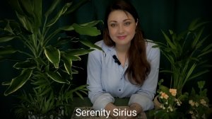 ♍ПРЕДСКАЗАНИЕ ДЛЯ ДЕВ♍НА 2025 ГОД⚡ТАРО РАСКЛАД⚡ ПРОГНОЗ⚡ГОРОСКОП ДЕВА♍🌞СОВЕТ ВЫСШИХ СИЛ