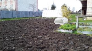 Осеняя вспашка мотоблоком Угра с плугом ПЦ -1-18  и консервация плуга