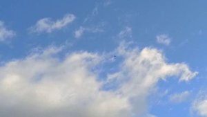 The flight of the #eagle. Полёт орла