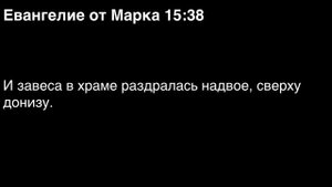 День 295. Библия за год. Библия за год. С митрополитом Иларионом.