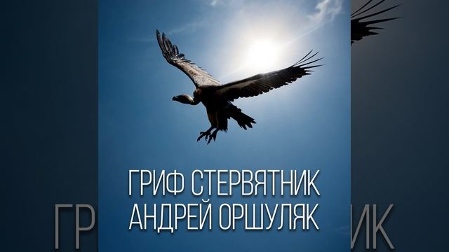 Простодыра