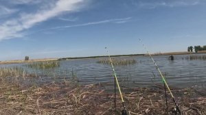 Волга 2024 весна. Вода пребывает!