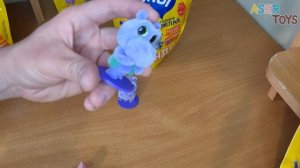 Старые Зверята глазастики из Свит Бокс, новая секретная игрушка Мармелад Hippo Bondi Бонди Sweet Bo