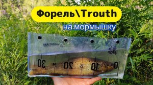 Микро речка | Поймал на мормышку форель 30см |
