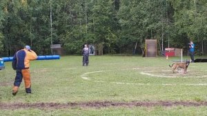 Чемпионат России по мондьорингу 2019 - 1 место. Казакова Ксения и Классик Аллерт Индира(1)